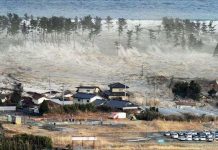 Phát hiện dấu hiệu cổ sóng thần tại tỉnh Nghệ An