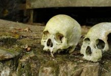 Công nghệ DNA mới giải mã những cái chết bí ẩn