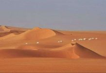 Động vật hoang dã ở Sahara ngày càng ít Động vật hoang dã ở Sahara ngày càng ít
