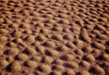 Vùng đất bỗng dưng mọc lên hàng nghìn nấm mồ khiến các nhà khoa học đau đầu