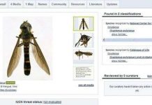 Bách khoa toàn thư sinh vật trực tuyến