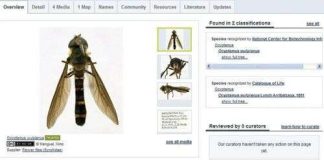 Bách khoa toàn thư sinh vật trực tuyến