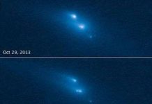 Tiểu hành tinh giẫy chết