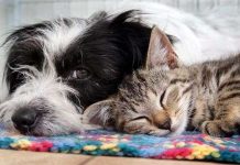 Ảnh đẹp trong tuần