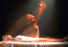 Thực hư chuyện "linh miêu hồi sinh xác chết"