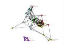 Tổ chức não thay đổi khi trẻ em thành người lớn