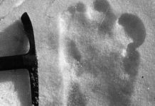 Truy tìm dã nhân Bigfoot