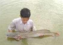 “Hồi sinh" loài cá quý hiếm