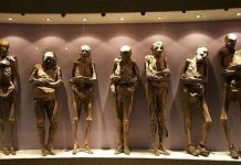 7 viện bảo tàng kinh dị nhất thế giới