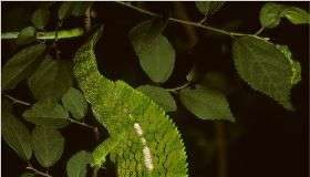 Cuộc sống thật ngắn ngủi