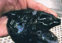 Bộ ảnh "thủy quái" mới nhất của ngư dân Nga khiến cư dân mạng tái mặt