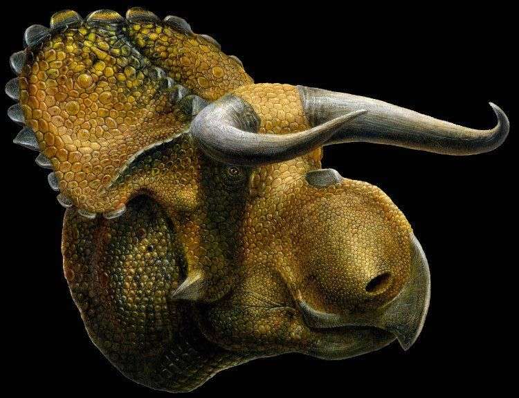 Phát hiện loài khủng long giống bò tót