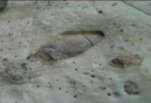 Hang khủng long cung cấp những chi tiết mới về biến đổi khí hậu thời cổ đại Hang khủng long cung cấp những chi tiết mới về biến đổi khí hậu thời cổ đại