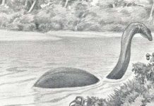 Huyền thoại về quái thú bí ẩn tại châu Phi