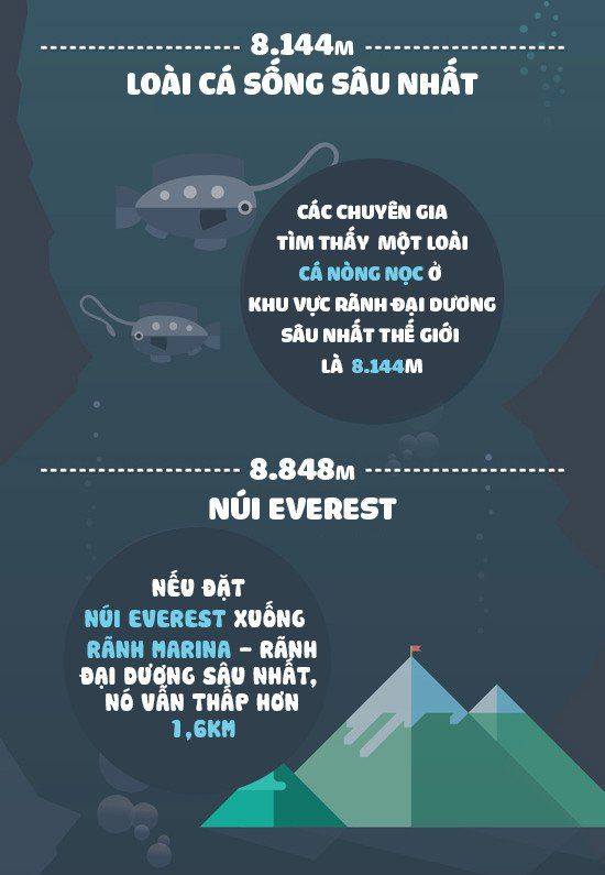 Độ sâu khó tin của biển xanh và những sự thật chẳng ai ngờ đến dưới đáy đại dương