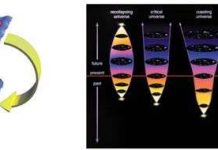 Mô phỏng thành công đường cong không - thời gian