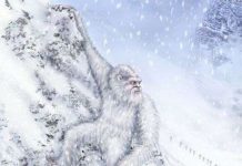 Tranh cãi về lông của người tuyết