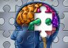 Phát hiện mới về trí thông minh con người