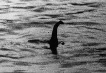 Vật thể nhô cao đầu giống quái vật hồ Loch Ness ở Albania