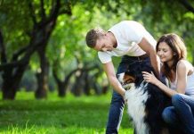 Nghiên cứu cho thấy tính cách "khó ưa" ở những người yêu chó