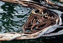 Chế tạo vật liệu mới giúp xử lý môi trường bị ô nhiễm