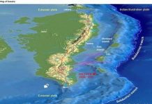 Những cơn sóng thần không thể dự báo trước