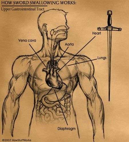 Tại sao người ta lại nuốt được kiếm?
