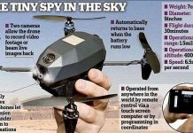 Mỹ sắp tung "điệp viên tí hon" vào Afghanistan