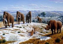 Thực hư ngày tận thế: Hủy diệt do con người (Phần 2)