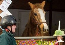 Con ngựa già nhất thế giới