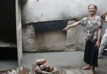 Ký sinh trùng trong bọ xít hút máu đã lây qua chuột