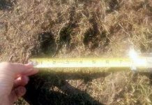 Lại xuất hiện dấu tích của "dấu chân huyền thoại"?