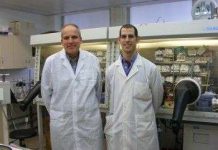 Tinh thể nano pha tạp chất dẫn điện tốt hơn