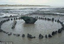 Bí ẩn vòng gỗ trên bờ biển