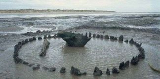 Bí ẩn vòng gỗ trên bờ biển