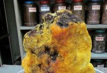 Mật ong cứng như đá không có gì lạ