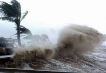 Vì sao “bão nữ” dữ dằn hơn “bão nam”? Vì sao "bão nữ" dữ dằn hơn "bão nam"?