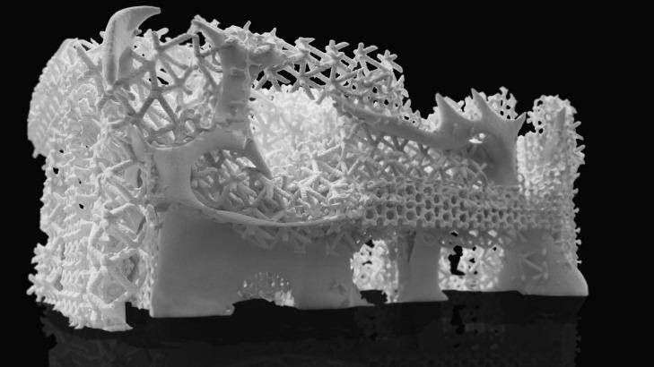 Phục hồi những rạn san hô chết bằng công nghệ in 3D
