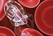 Nanorobot tổng hợp hướng sáng đầu tiên trên thế giới