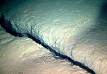 Những ảnh hưởng kỳ lạ của động đất Nhật Bản