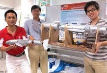 Chế tạo robot cá chép có thể bơi lặn như cá thật