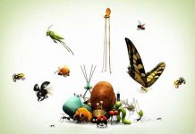 Điều gì sẽ xảy ra nếu côn trùng biến mất khỏi Trái Đất?