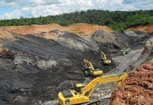 Trồng rừng trên mỏ than