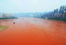 Nước sông Dương Tử chuyển sang màu đỏ Nước sông Dương Tử chuyển sang màu đỏ