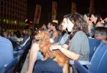 Israel có dịch vụ kỹ thuật số chăm sóc chó đầu tiên trên thế giới