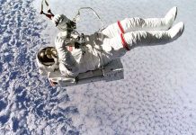 Xác người có thể ươm mầm sự sống trong vũ trụ Xác người có thể ươm mầm sự sống trong vũ trụ