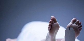 Sự sống vẫn tiếp diễn trong cơ thể 2 ngày sau khi chết