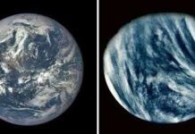 Vì sao sự sống xuất hiện trên Trái Đất thay vì Sao Kim?