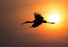 Cách xác định hướng đơn giản bằng mặt trời và kinh nghiệm