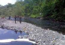 Bảo vệ rừng nhiệt đới: ba trở ngại chính